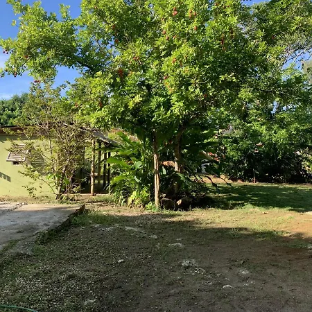 Can Jam Retreat Negril Exterior foto
