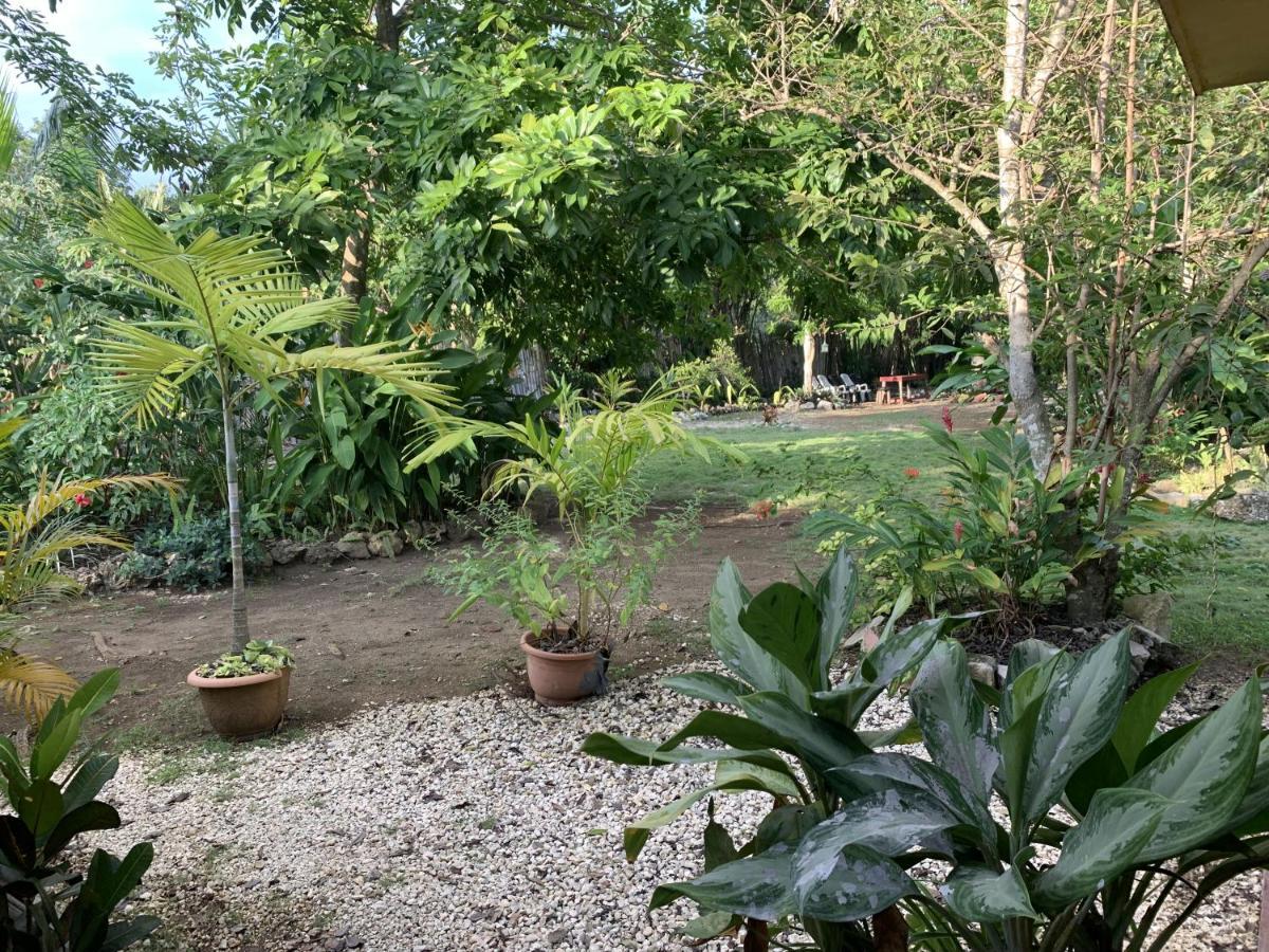 Alojamento de Acomodação e Pequeno-almoço Jam Retreat Negril