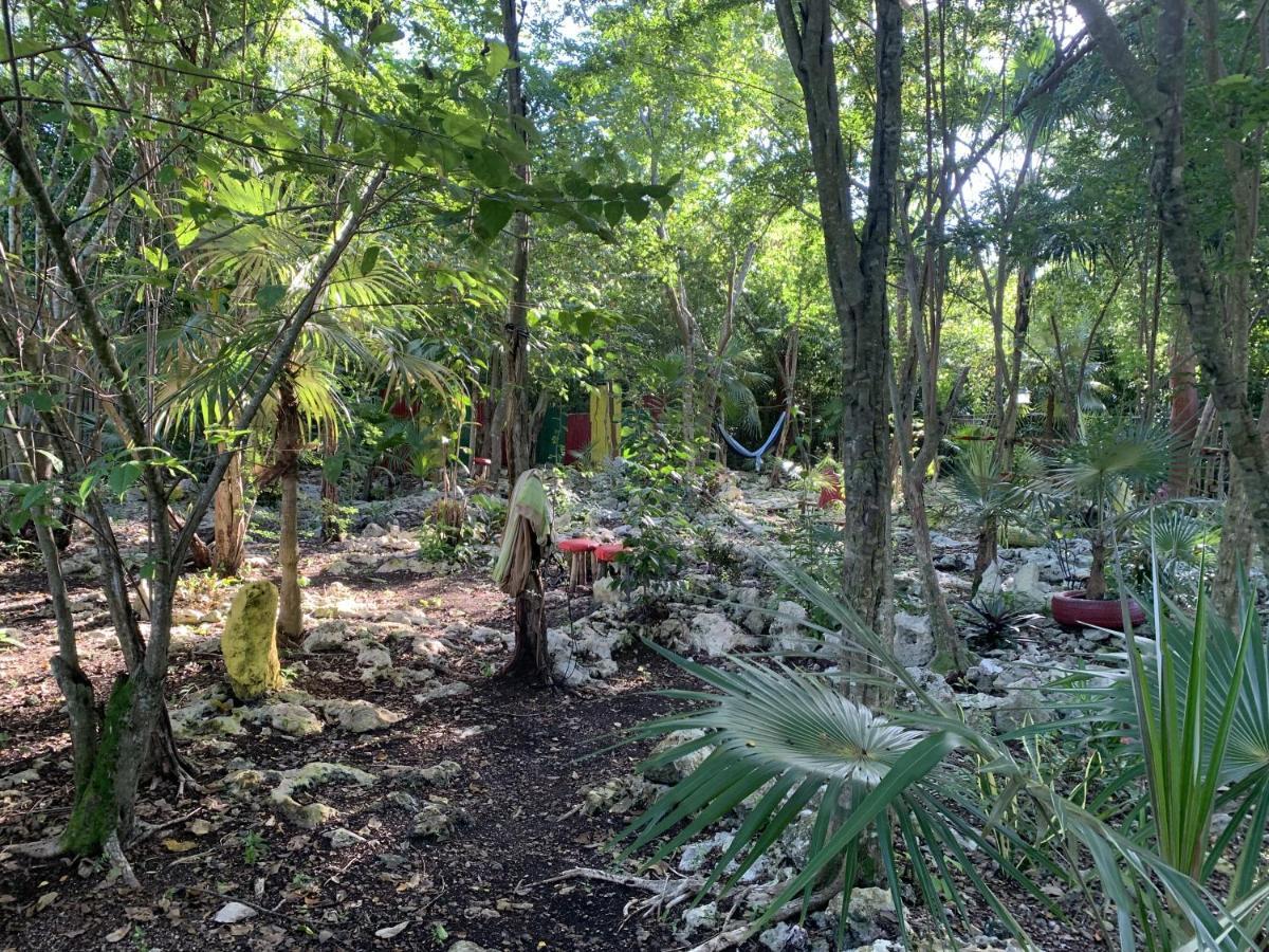 Jam Retreat Alojamento de Acomodação e Pequeno-almoço Negril