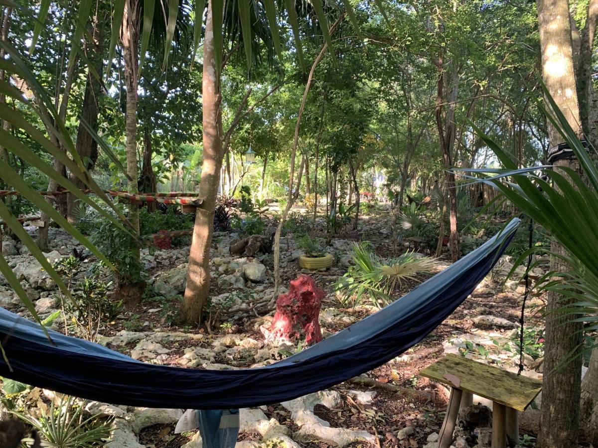 Alojamento de Acomodação e Pequeno-almoço Jam Retreat Negril