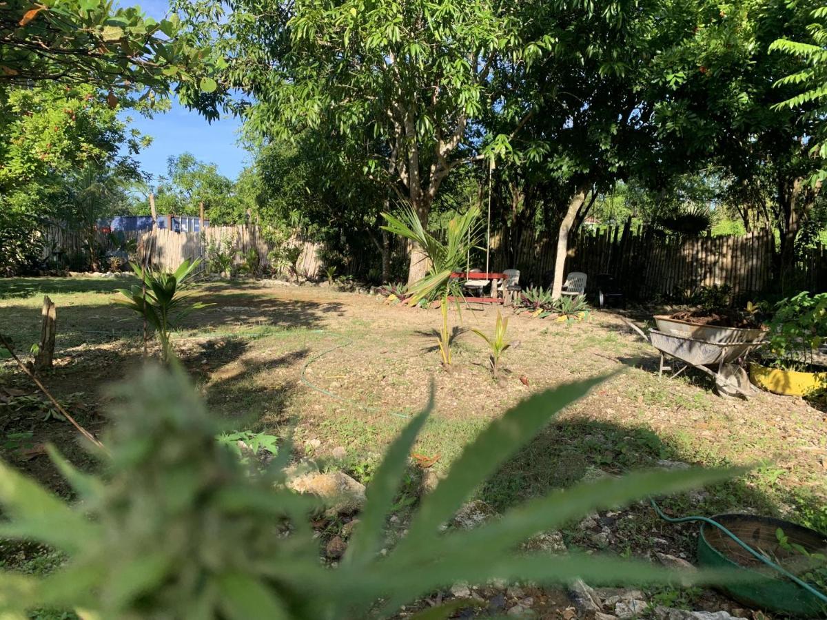 Alojamento de Acomodação e Pequeno-almoço Jam Retreat Negril