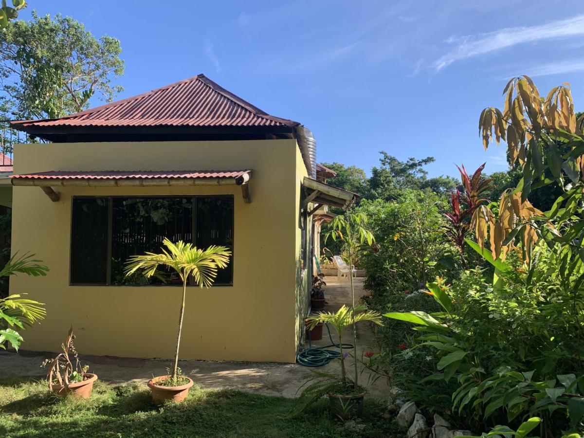 Alojamento de Acomodação e Pequeno-almoço Jam Retreat *